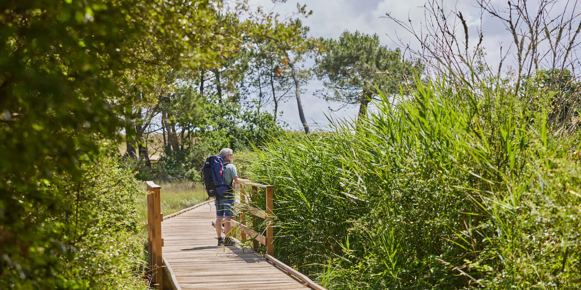 Flg22@alamoureux D6a0802