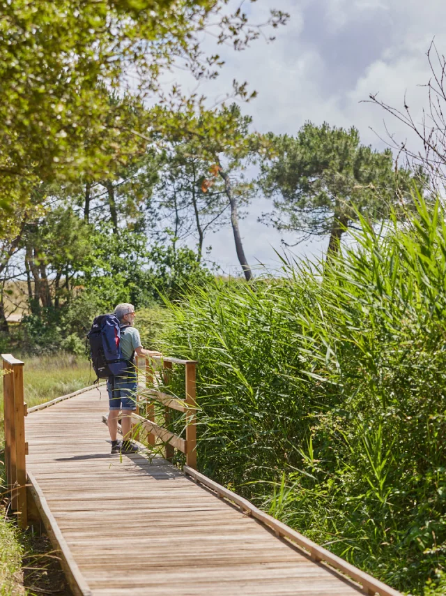 Flg22@alamoureux D6a0802