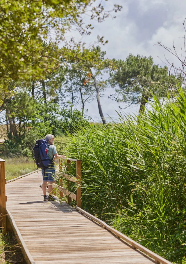 Flg22@alamoureux D6a0802