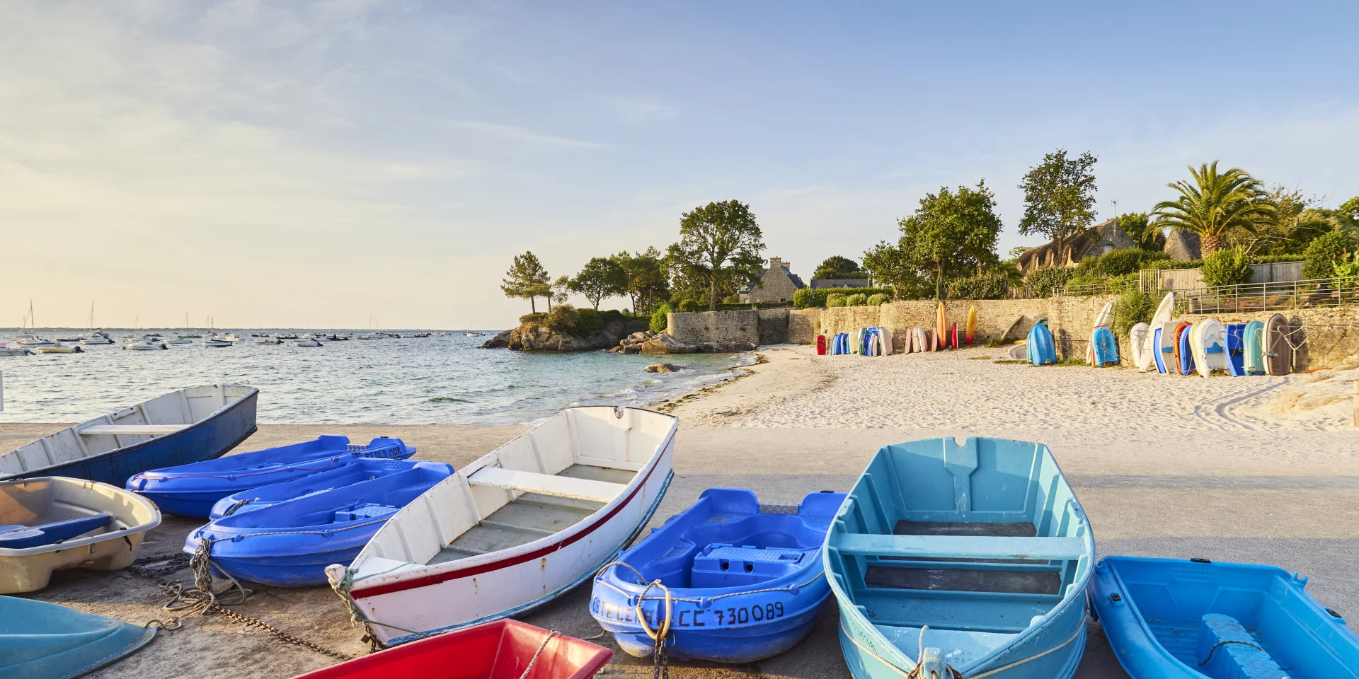 Flg22@alamoureux D6a4476