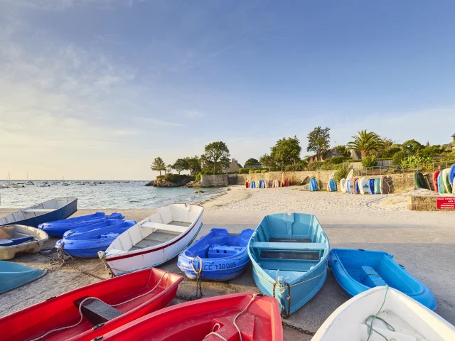 Flg22@lovers D6a4476