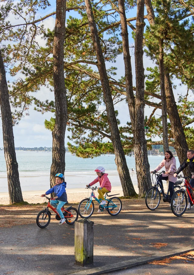 Flg22@alamoureux D6a9295