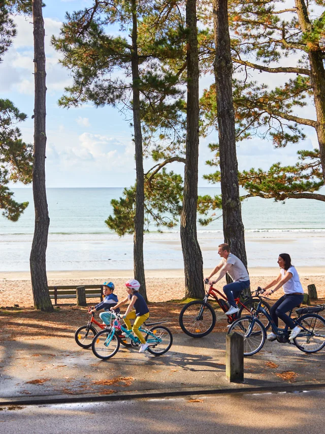 Flg22@alamoureux D6a9342 1