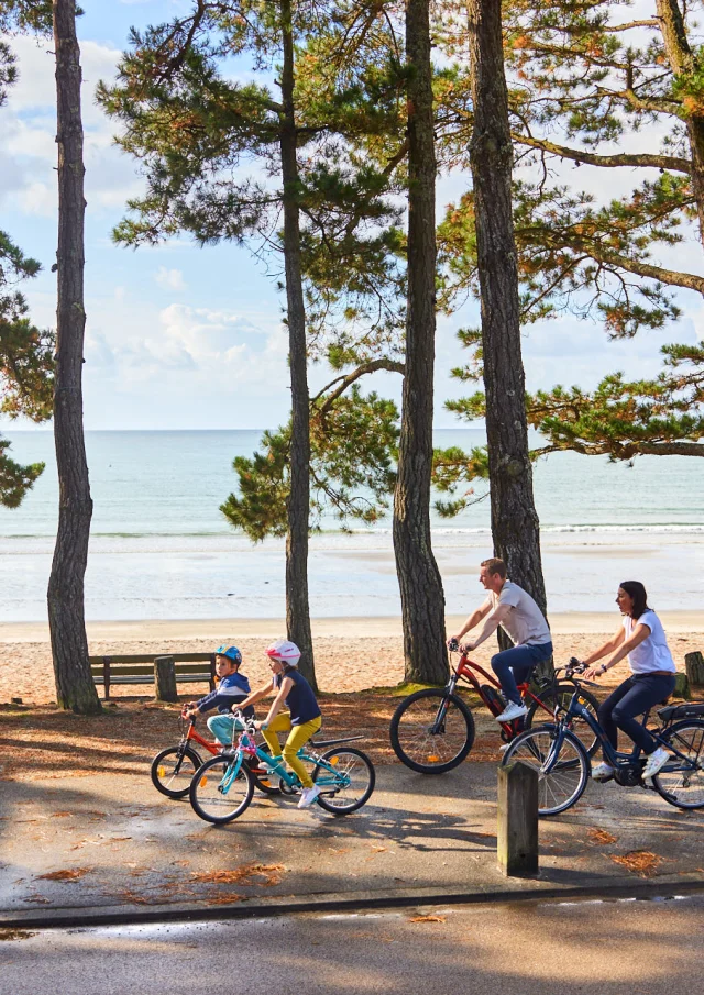 Flg22@alamoureux D6a9342