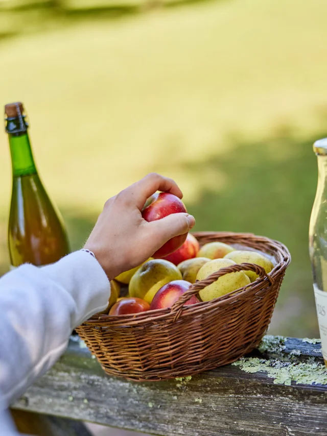 Flg22@alamoureux D6a9695