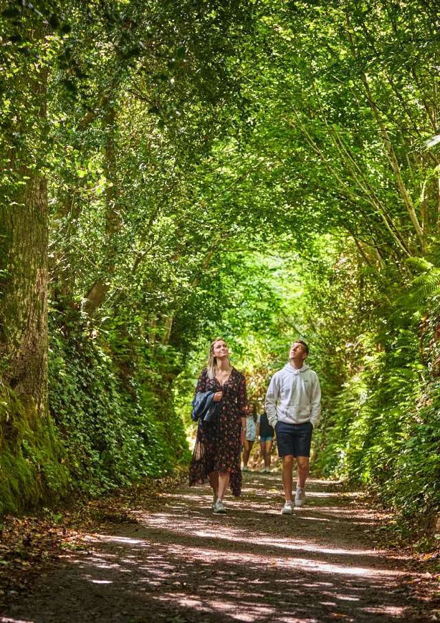 Flg22@alamoureux D6a9859