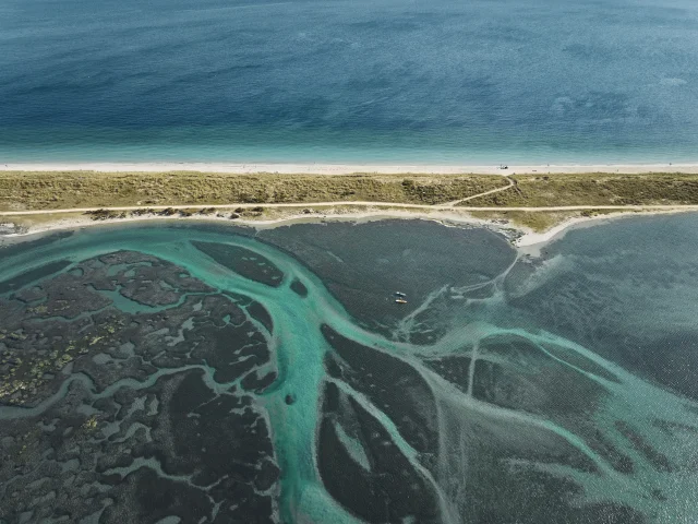 Flg22@alamoureux Dji 0428