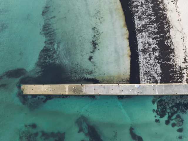 Flg22@alamoureux Dji 0885