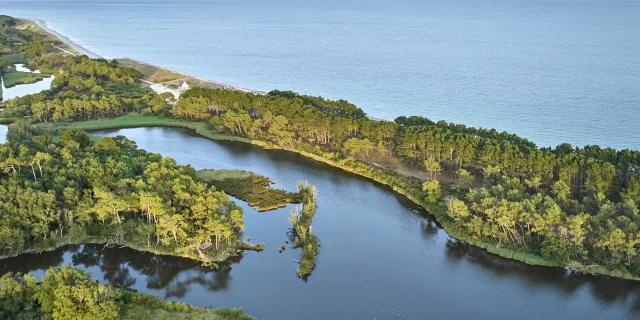 Flg22@alamoureux Dji 0933