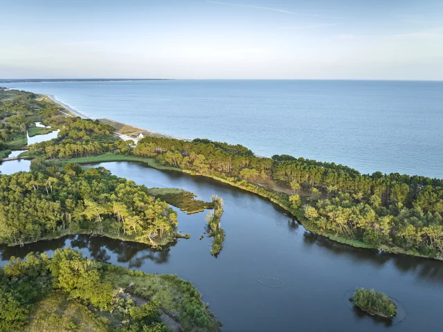 Flg22@alamoureux Dji 0933