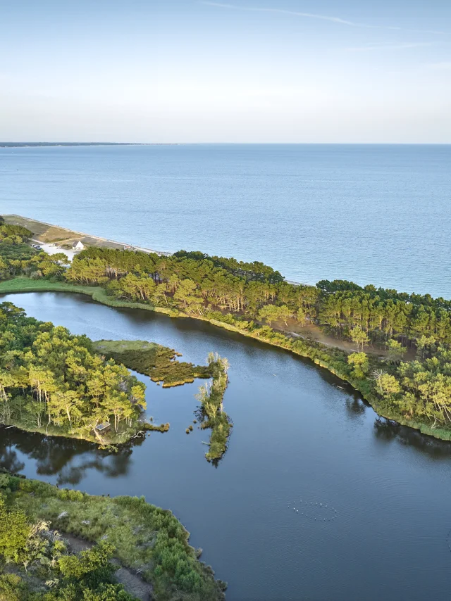 Flg22@alamoureux Dji 0933