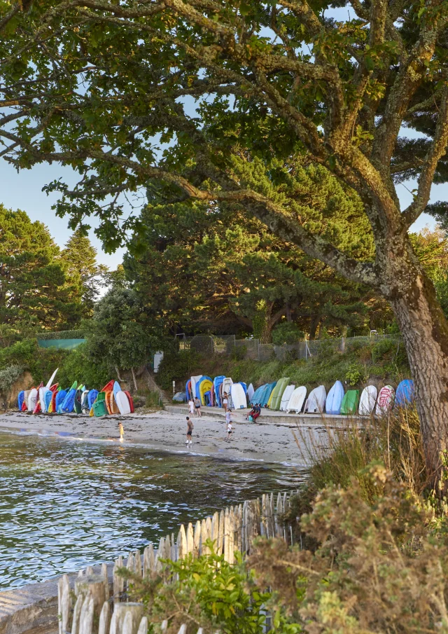 Flg22alamoureux D6a4428