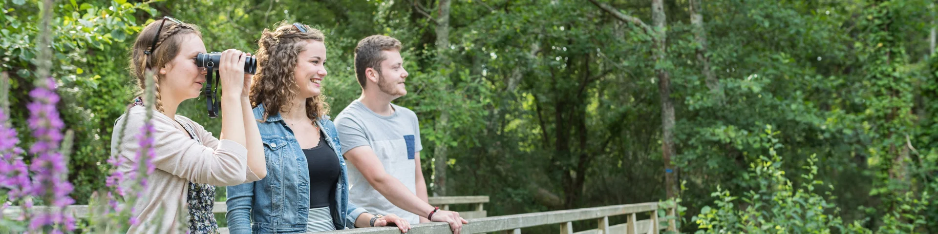 France, Finistere (29), Fouesnant, les marais de Mousterlin