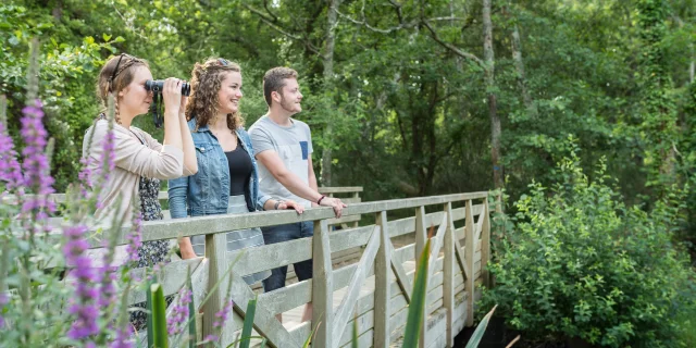 Frankreich, Finistere (29), Fouesnant, die Sümpfe von Mousterlin