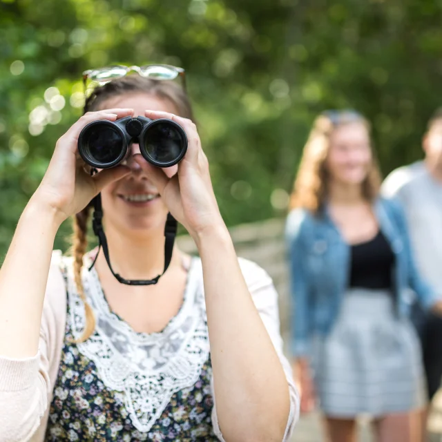 France, Finistere (29), Fouesnant, les marais de Mousterlin