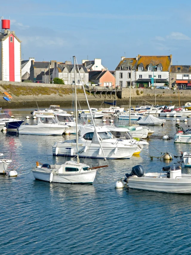 Guilvinec Musat De Getty Images