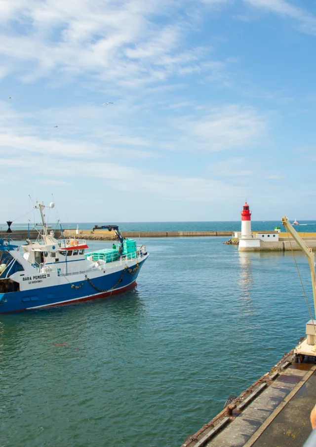 Photographe, journaliste