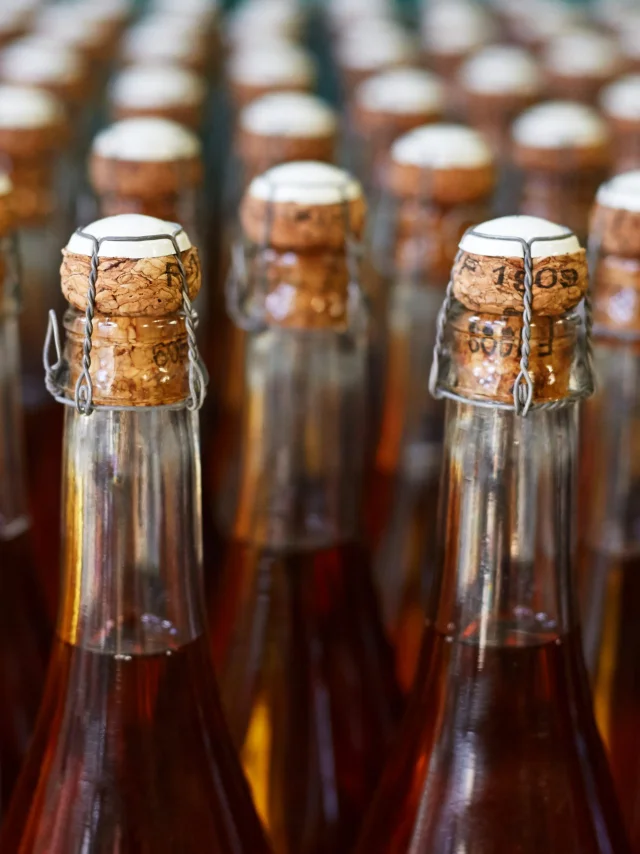 Maison De Perguet 004 Scaled 1