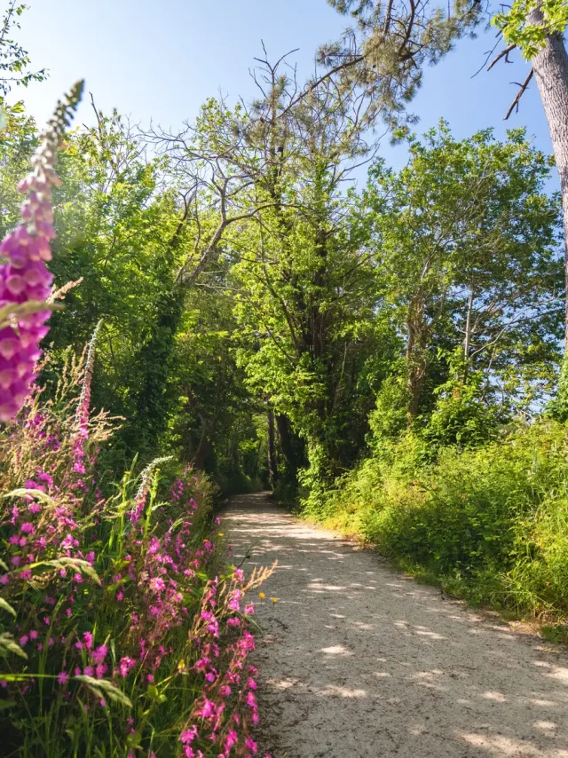 Le Dourmeur Saint Evarzec Poriel