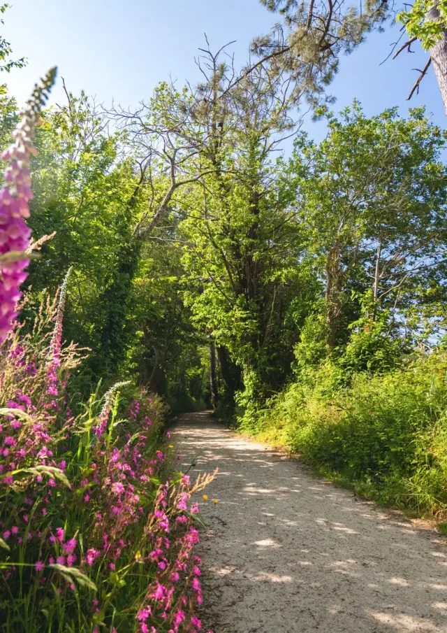 Le Dourmeur Saint Evarzec Poriel