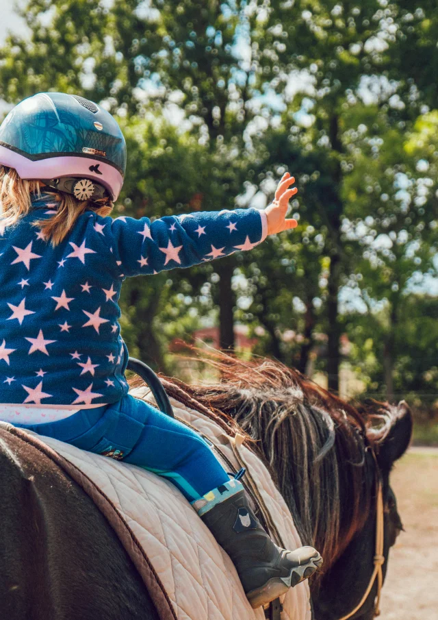 Pexels Alexander Dummer 37646 1364073