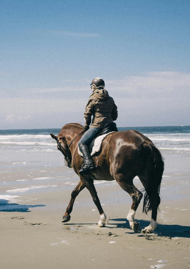 Pexels Anchukk 25020067