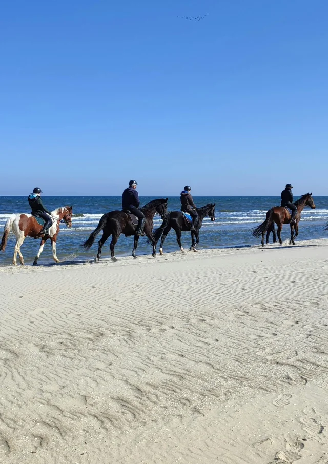 Pexels Mirko Bellmann 157992746 13282299