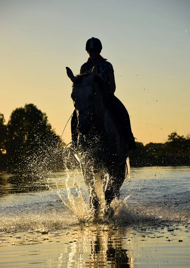 Pexels Pixabay 210260