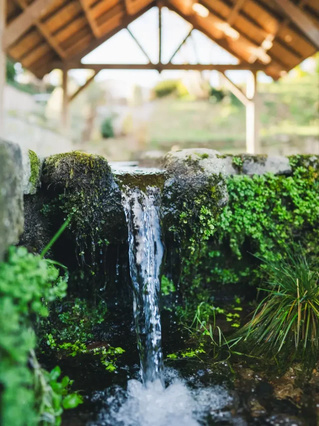 Vallee Prajou Pleuven Poriel