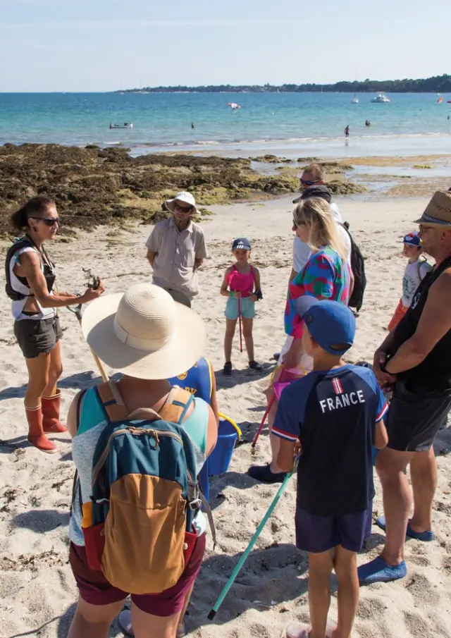 Tresors Bord De Mer Vitamines Zee Claude Folgoas