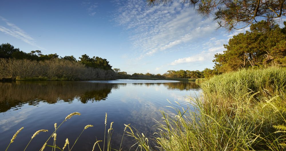 Polder and Marsh of Mousterlin Fouesnant