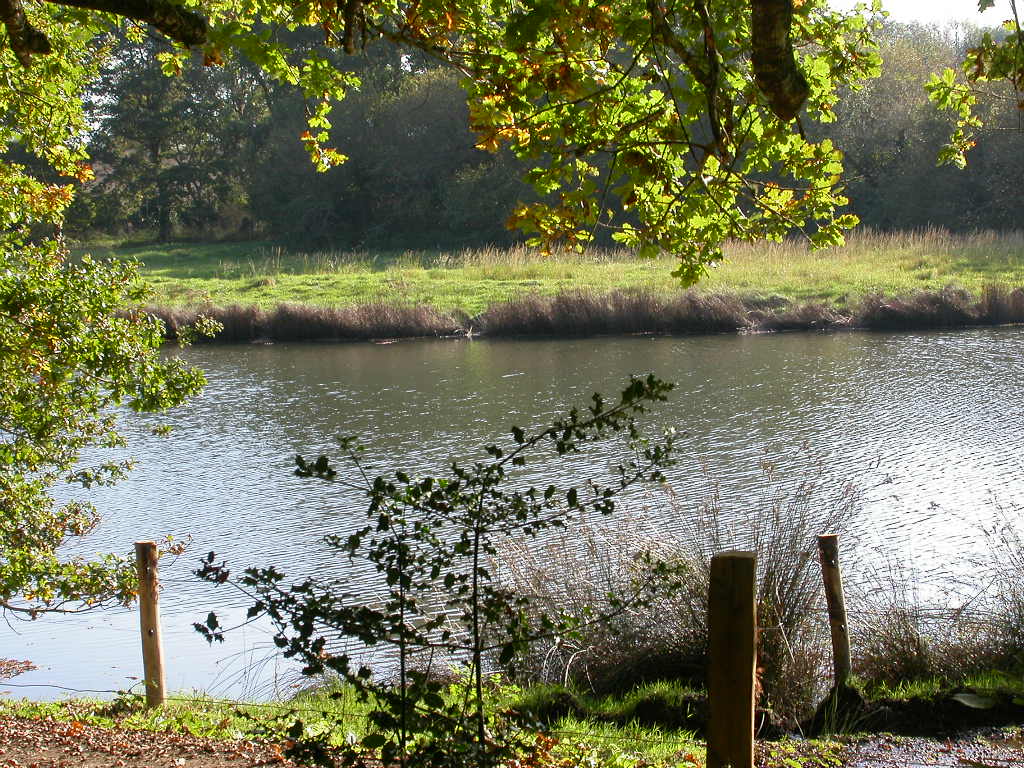 Ponds of Penfoulic