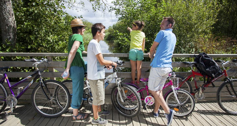 Family walk in the marshes of Mousterlin