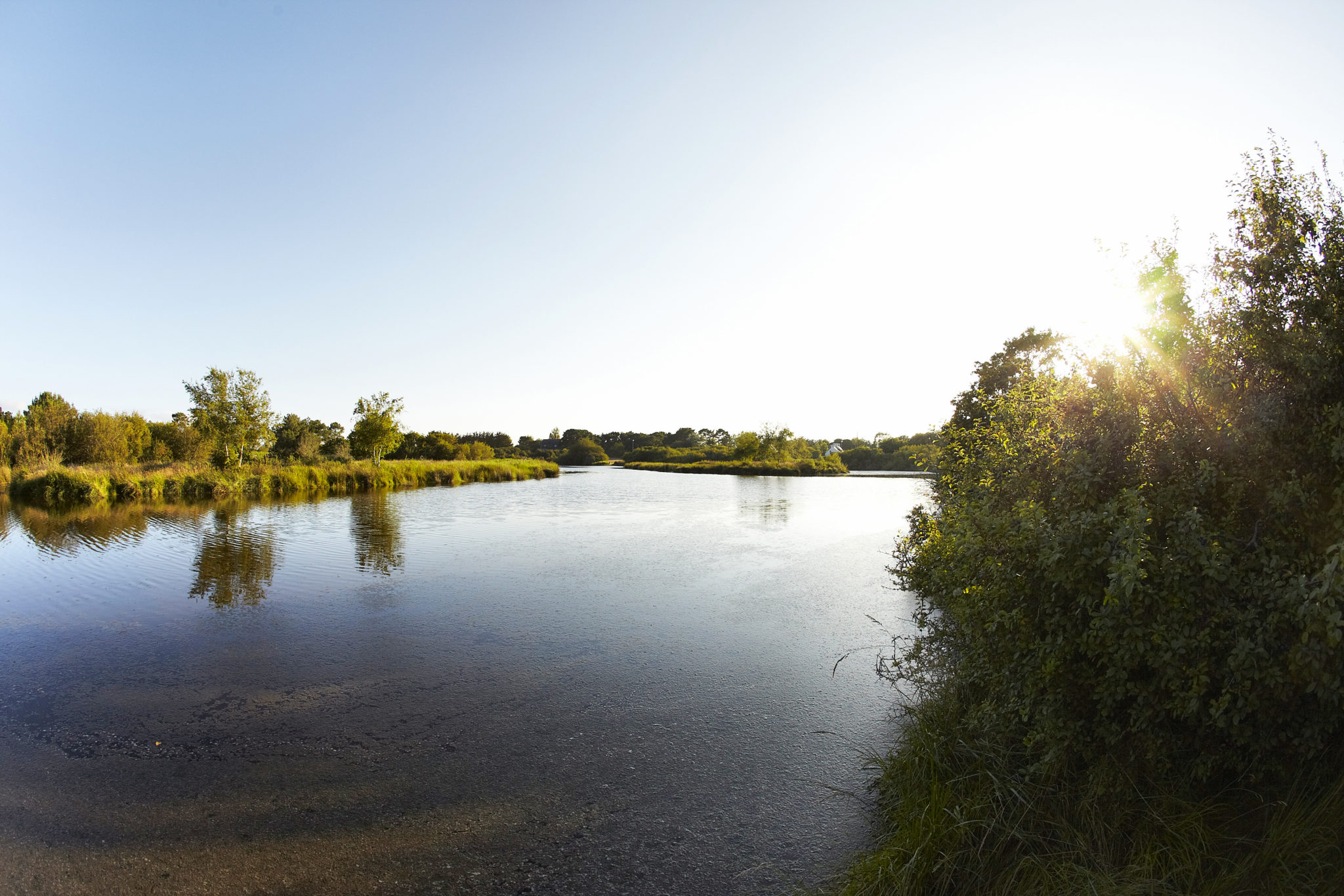 Marsh of Mousterlin