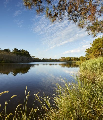 Hinter den Stränden der Polder