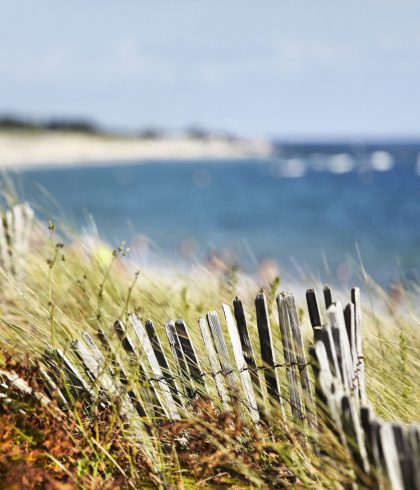 Mousterlin beaches