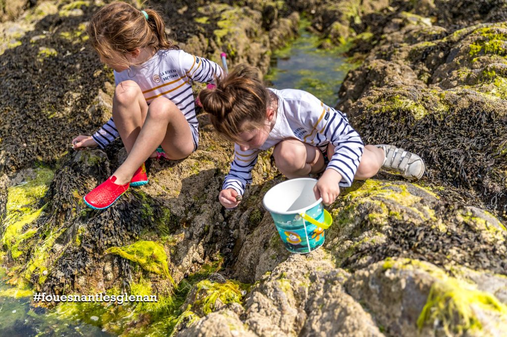 Sortie pêche à pied à l'estran au Cap-Coz Fouesnant