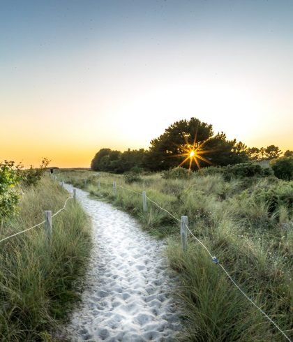 Stroll in the heart of autumn along the coastal path