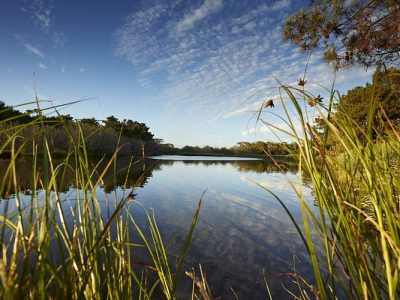 Routebeschrijving-Polder-de-Mousterlin