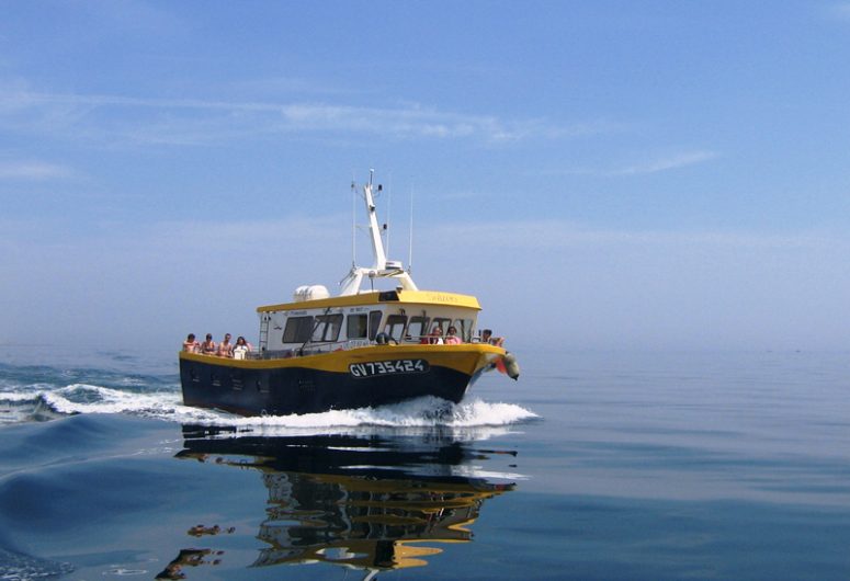 Promenade et pêche en mer Soizen – Guilvinec – Pays Bigouden – Bigoudenjoy