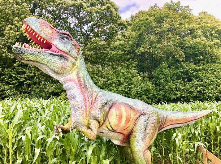 Dino Aven Parc – Aven Parc 2024 – Freizeitpark – Von Concarneau nach Pont-Aven