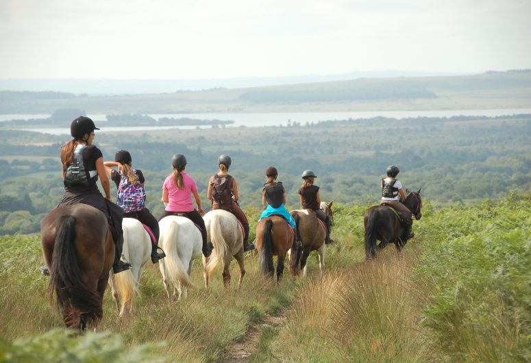 Lanveron Pony Club