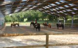 Lanveron Pony Club