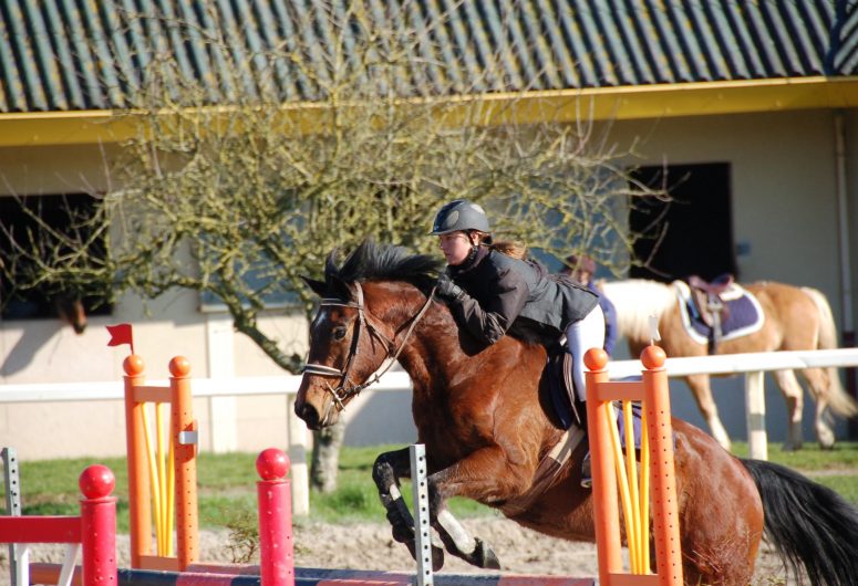 Lanveron Pony Club