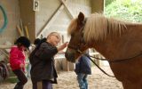 Lanveron Pony Club