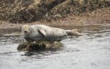 Promenade et pêche en mer Soizen – Guilvinec – Pays Bigouden – Bigoudenjoy