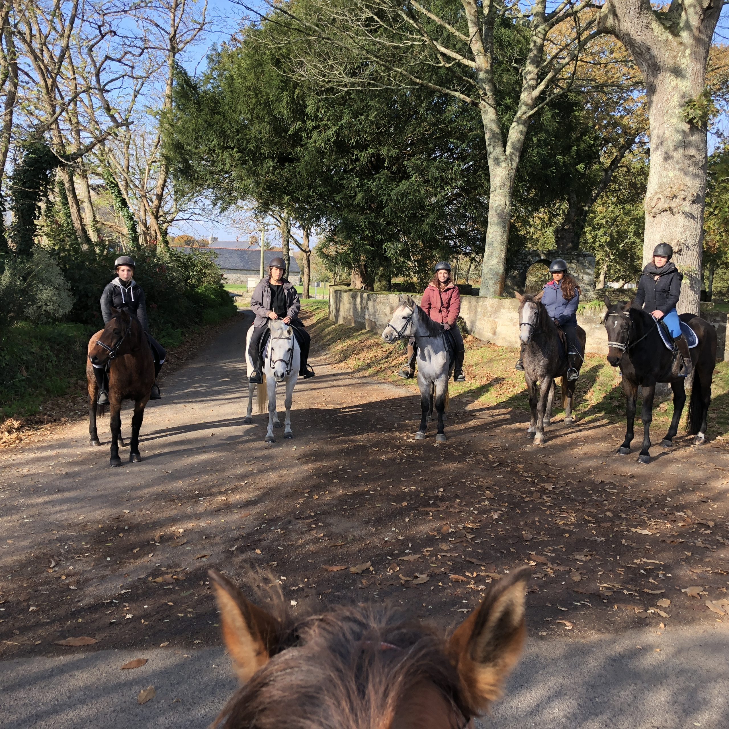 Ethoetoi Equestrian Center