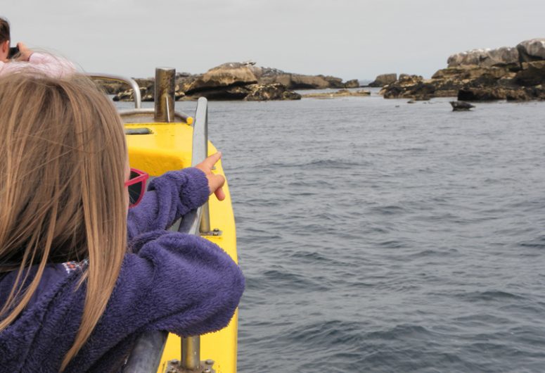 Promenade et pêche en mer Soizen – Guilvinec – Pays Bigouden – Bigoudenjoy