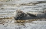 Promenade et pêche en mer Soizen – Guilvinec – Pays Bigouden – Bigoudenjoy