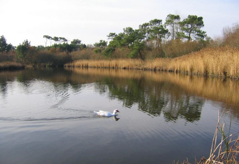 Itinéraire-Polder-de-Mousterlin